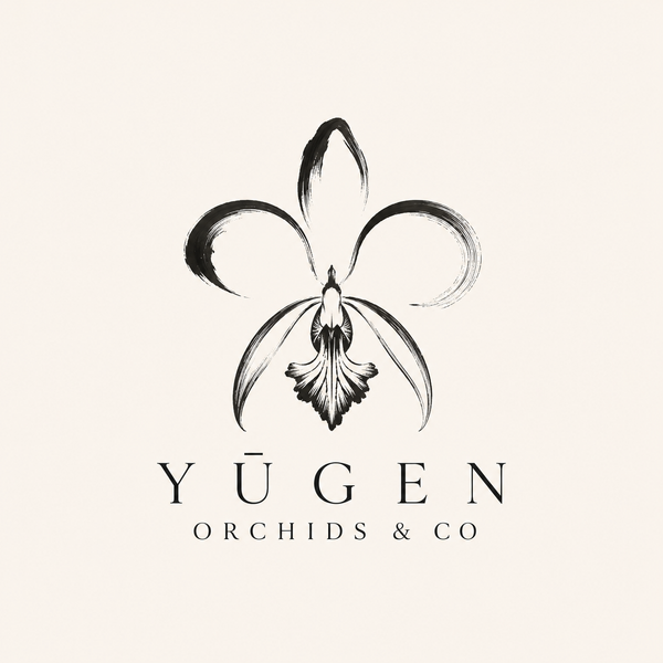 Yugen Orchids & Co.